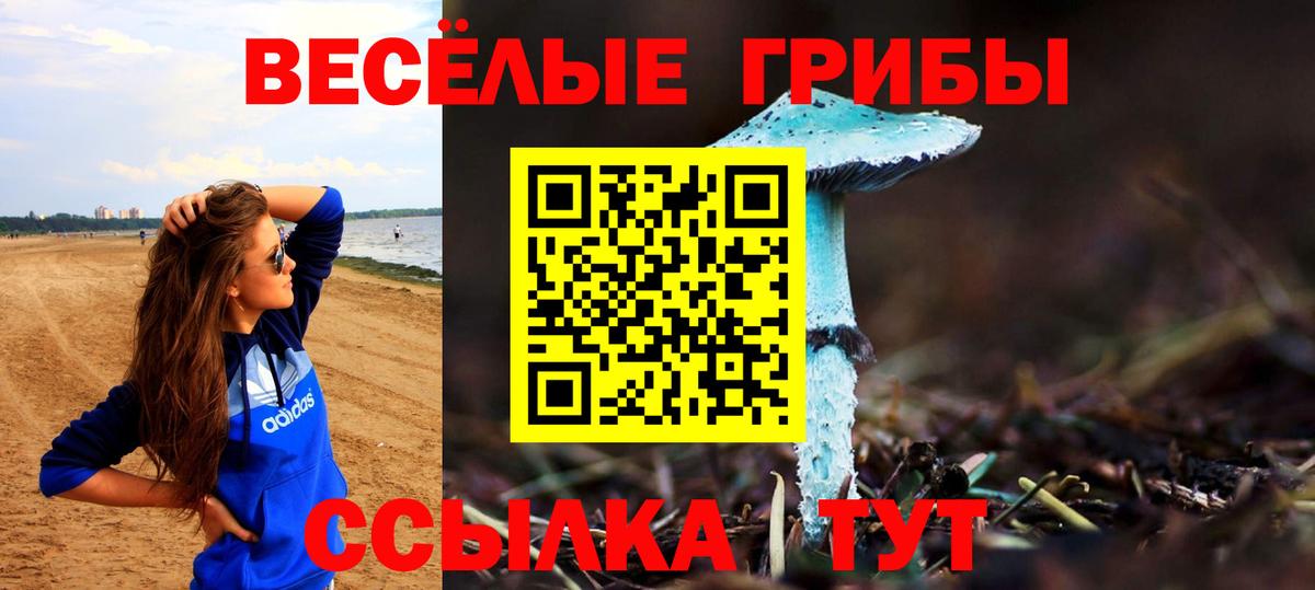 где можно купить наркотик  Галлюциногенные грибы Psilocybine cubensis  Вход с VPN  Екатеринбург 